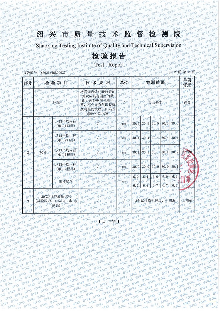 FR菠萝蜜视频免费网站管件检测报告